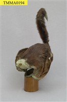 藏品(白面鼯鼠)的圖片